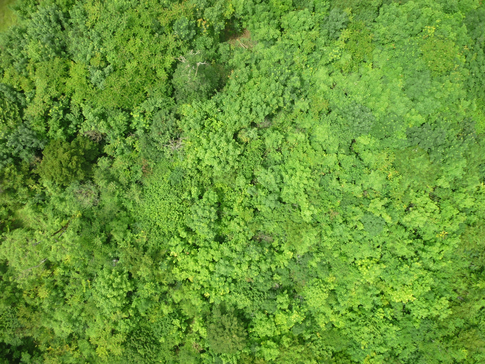 P1000575.JPG
