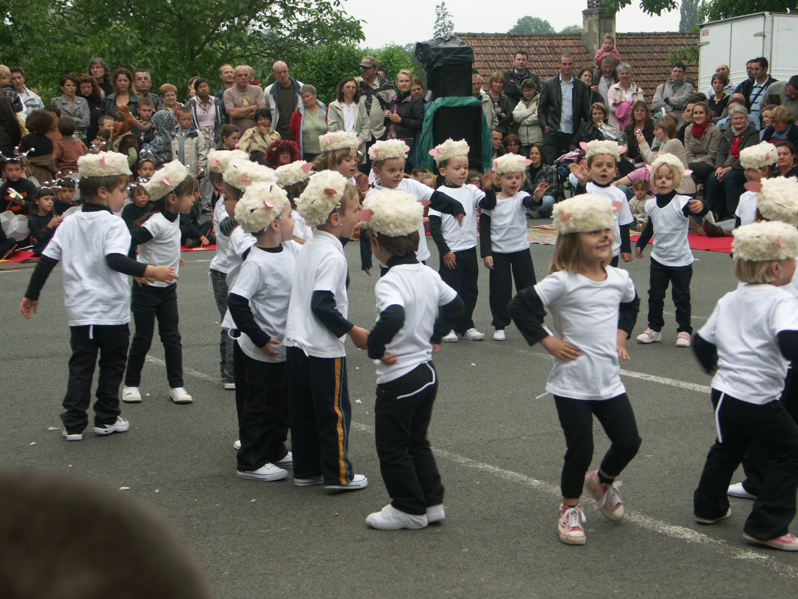 Moutons dans le pre (21).JPG