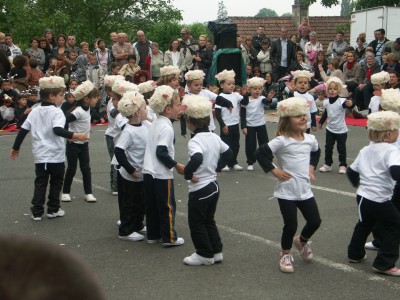 Moutons dans le pre (21).JPG
