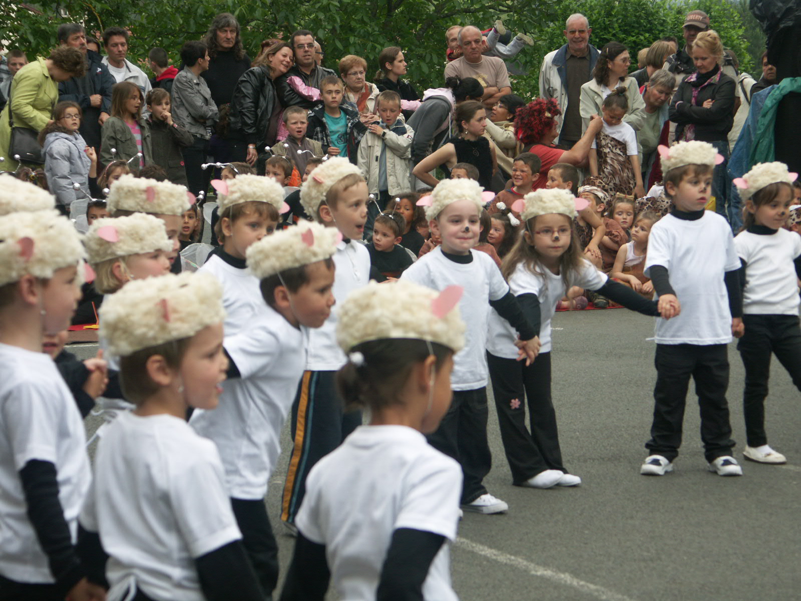 Moutons dans le pre (4).JPG