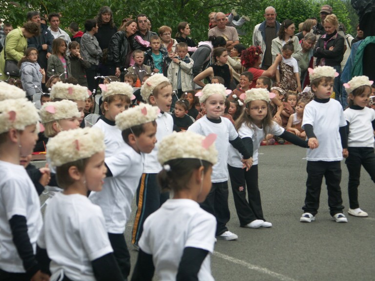 Moutons dans le pre (4).JPG