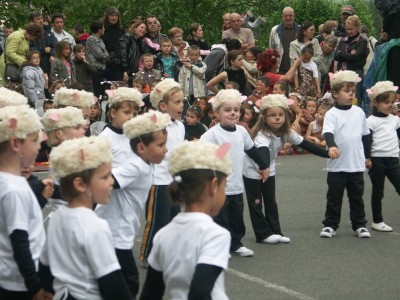 Moutons dans le pre (4).JPG