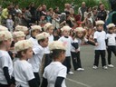 Moutons dans le pre (4).JPG