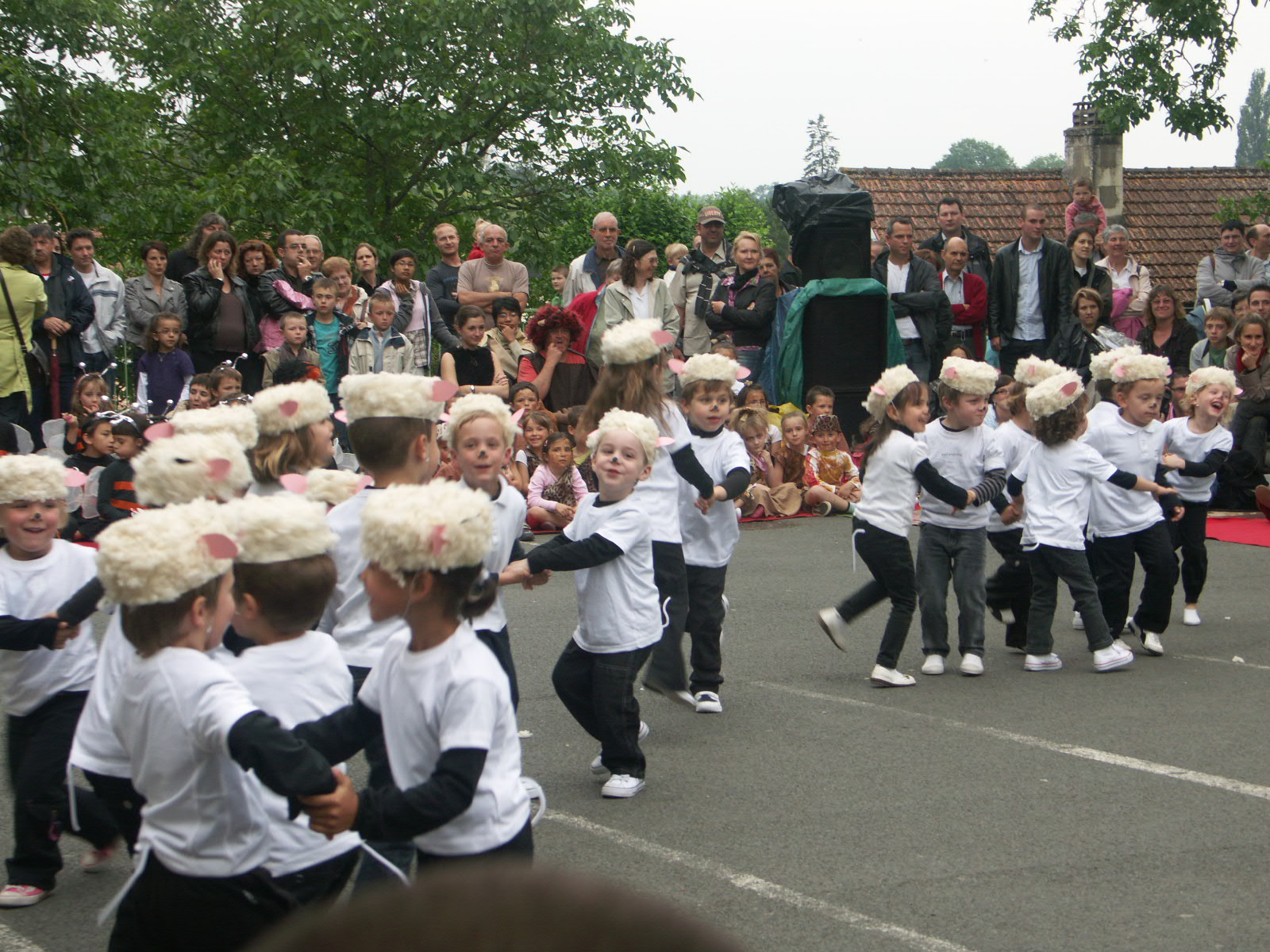 Moutons dans le pre (8).JPG