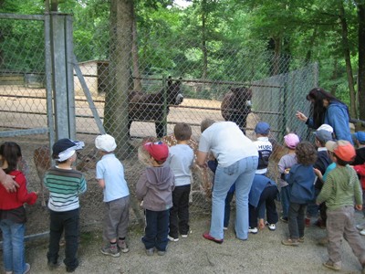 Bois de St Pierre (11).JPG