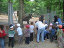 Bois de St Pierre (11).JPG
