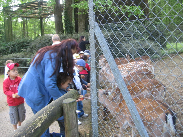 Bois de St Pierre (12).JPG