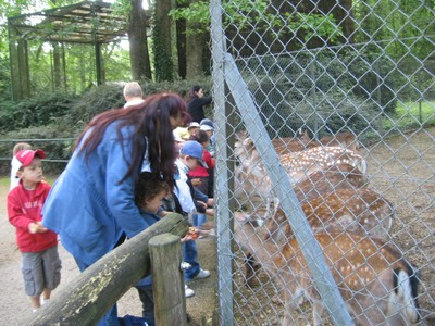 Bois de St Pierre (12).JPG