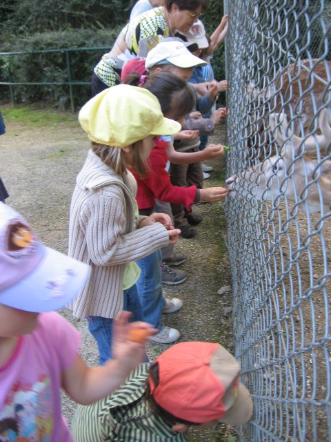 Bois de St Pierre (20).JPG