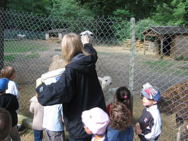 Bois de St Pierre (21).JPG