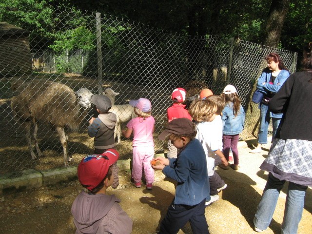 Bois de St Pierre (23).JPG