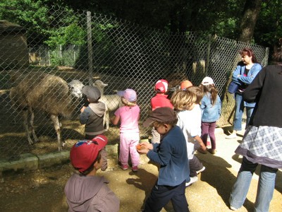 Bois de St Pierre (23).JPG