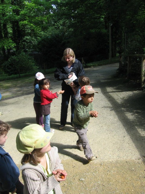 Bois de St Pierre (24).JPG