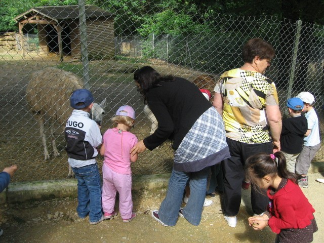 Bois de St Pierre (25).JPG