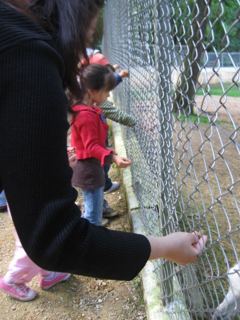 Bois de St Pierre (28).JPG