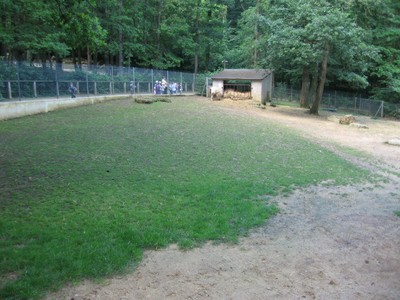 Bois de St Pierre (29).JPG