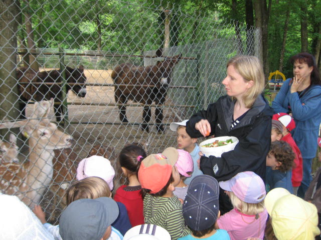 Bois de St Pierre (3).JPG