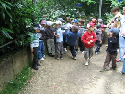 Bois de St Pierre (30).JPG