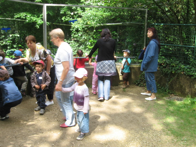 Bois de St Pierre (31).JPG