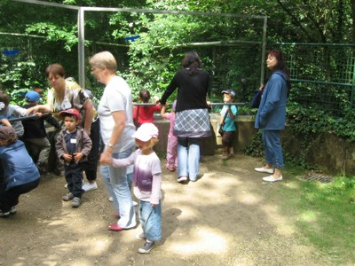 Bois de St Pierre (31).JPG