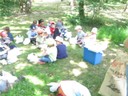 Bois de St Pierre (33).JPG