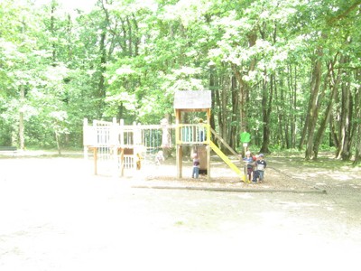 Bois de St Pierre (36).JPG