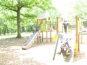 Bois de St Pierre (37).JPG
