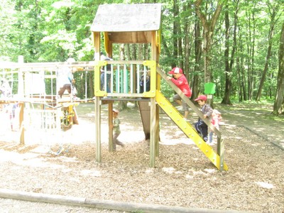 Bois de St Pierre (39).JPG