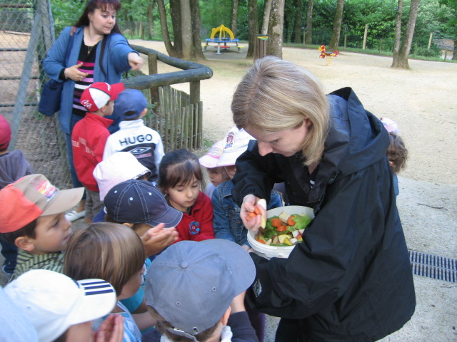 Bois de St Pierre (4).JPG