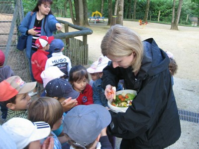Bois de St Pierre (4).JPG