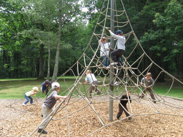 Bois de St Pierre (42).JPG