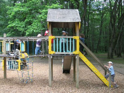 Bois de St Pierre (43).JPG