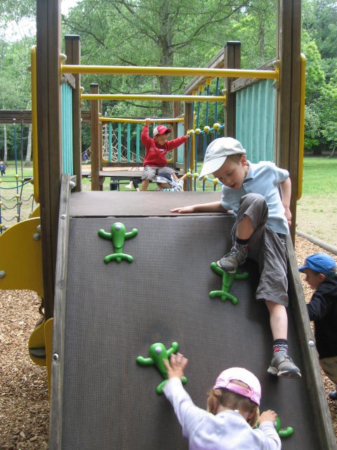 Bois de St Pierre (47).JPG