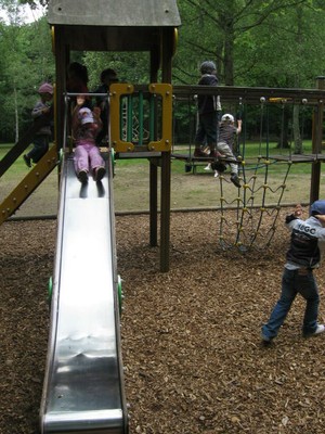 Bois de St Pierre (48).JPG
