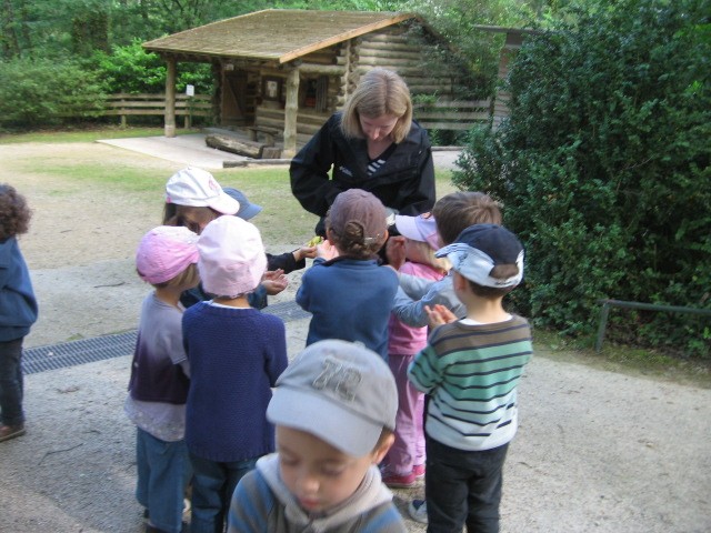 Bois de St Pierre (6).JPG