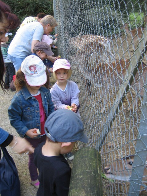 Bois de St Pierre (8).JPG