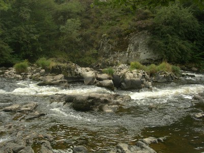DSCN8996.JPG