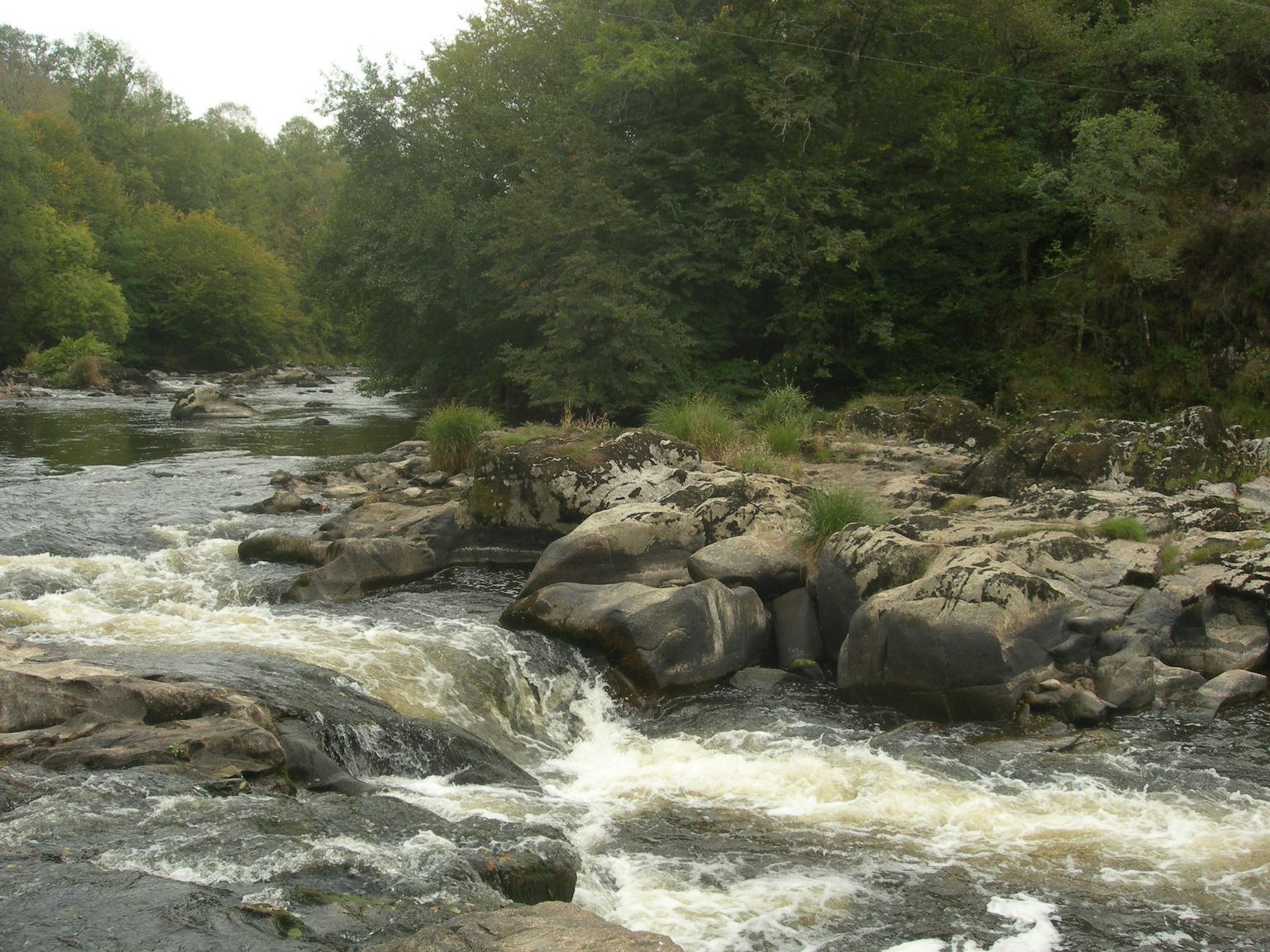 DSCN8997.JPG