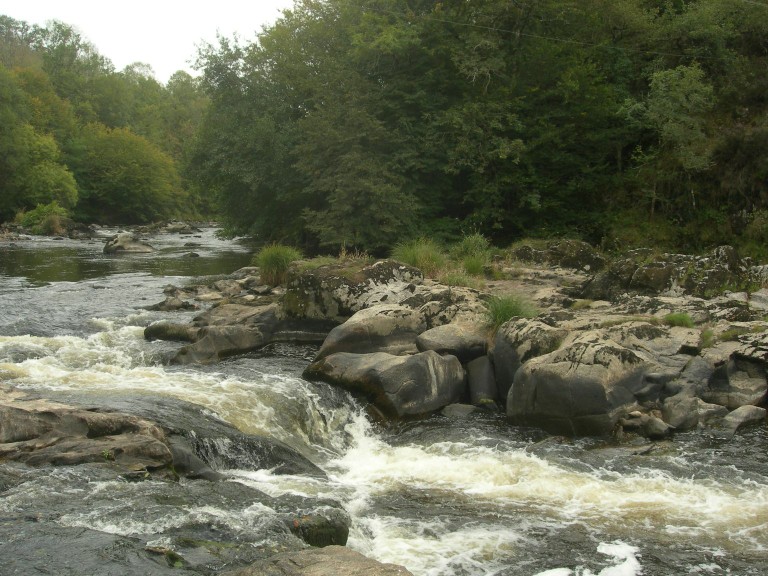 DSCN8997.JPG