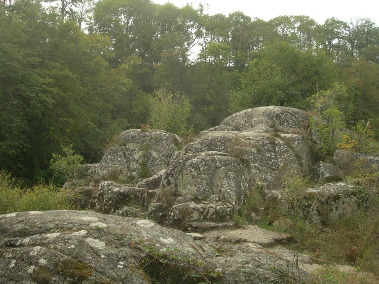 DSCN8999.JPG