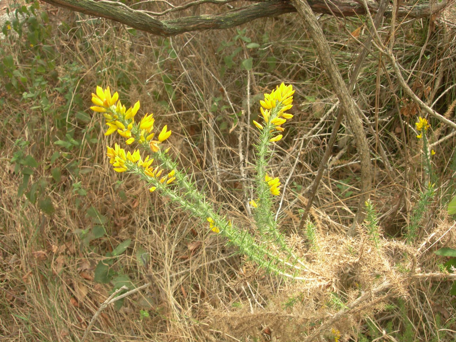 DSCN9004.JPG