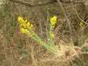 DSCN9004.JPG