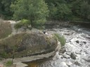 DSCN9006.JPG