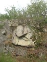 DSCN9020.JPG