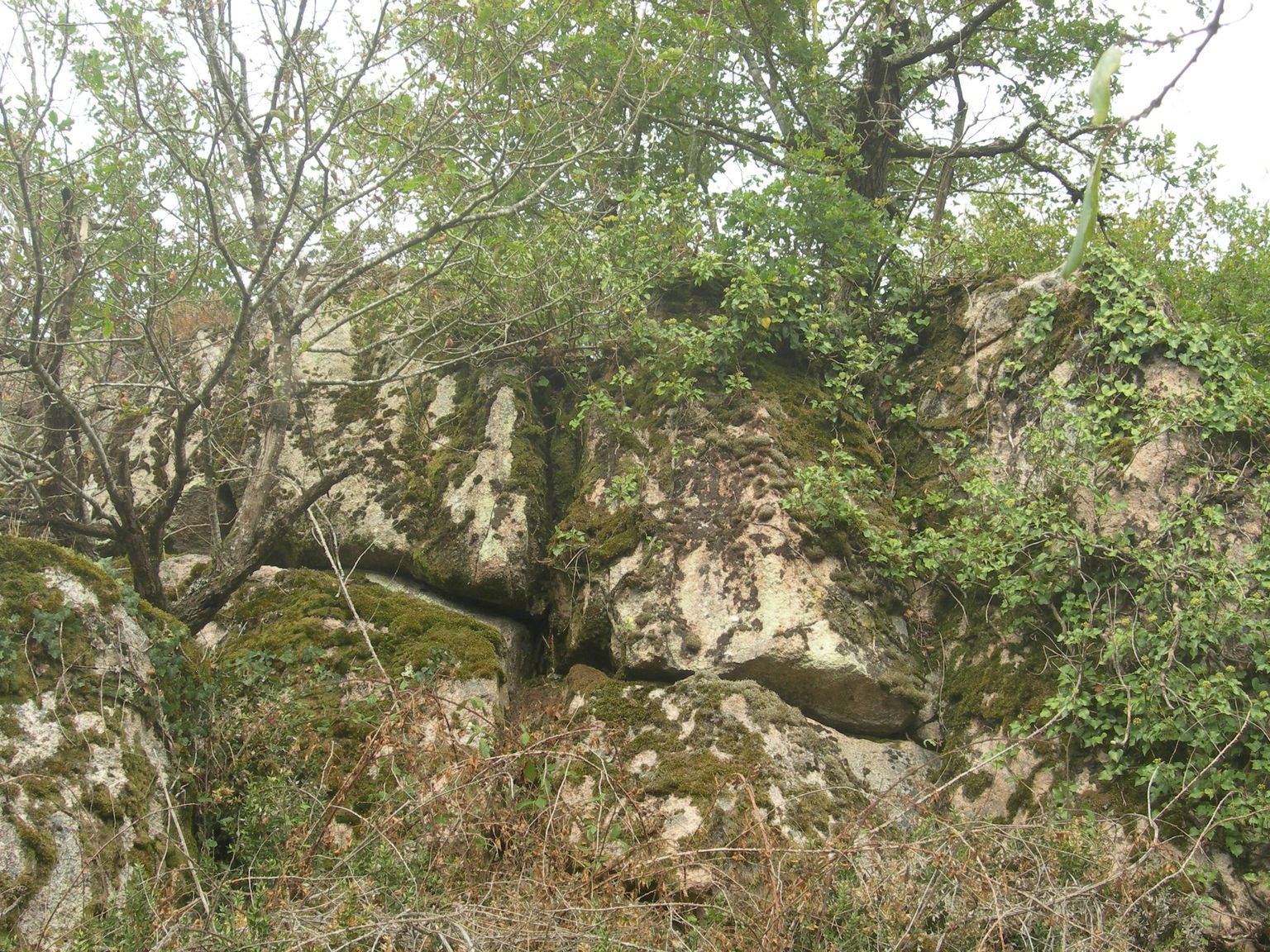 DSCN9021.JPG