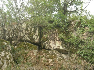 DSCN9021.JPG