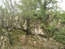 DSCN9021.JPG