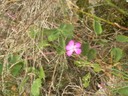 DSCN9022.JPG