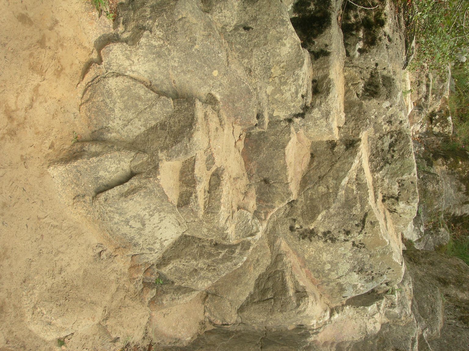 DSCN9031.JPG