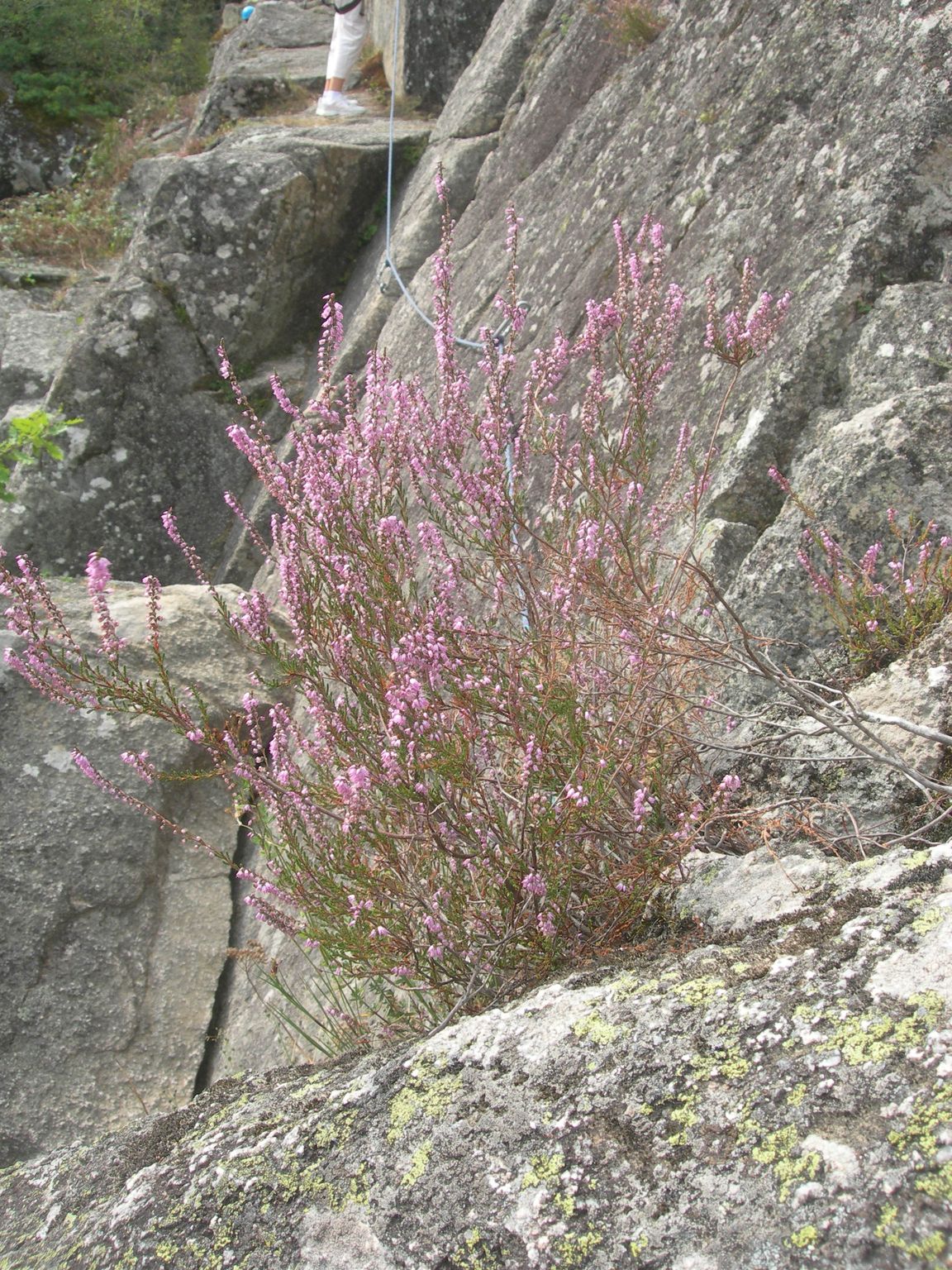 DSCN9033.JPG